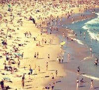 VIDEO: Ajkula rastjerala sidnejske plivače VIDEO: Ajkula rastjerala sidnejske plivače