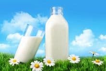 Za što sve mlijeko može da posluži? Za što sve mlijeko može da posluži?