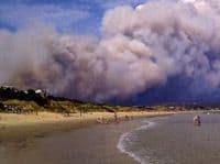 Australija: Stotinak nestalih u strahovitim požarima na Tasmaniji Australija: Stotinak nestalih u strahovitim požarima na Tasmaniji