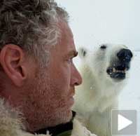 VIDEO: Oči u oči sa polarnim medvjedom VIDEO: Oči u oči sa polarnim medvjedom