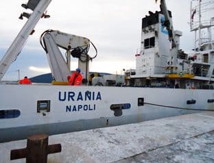 Otkrivena naselja korala u crnogorskim vodama Otkrivena naselja korala u crnogorskim vodama