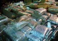 Srbija: Zaplijenjeno rekordnih 908 kg marihuane Srbija: Zaplijenjeno rekordnih 908 kg marihuane