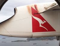 VIDEO: Piton letio na krilu aviona VIDEO: Piton letio na krilu aviona