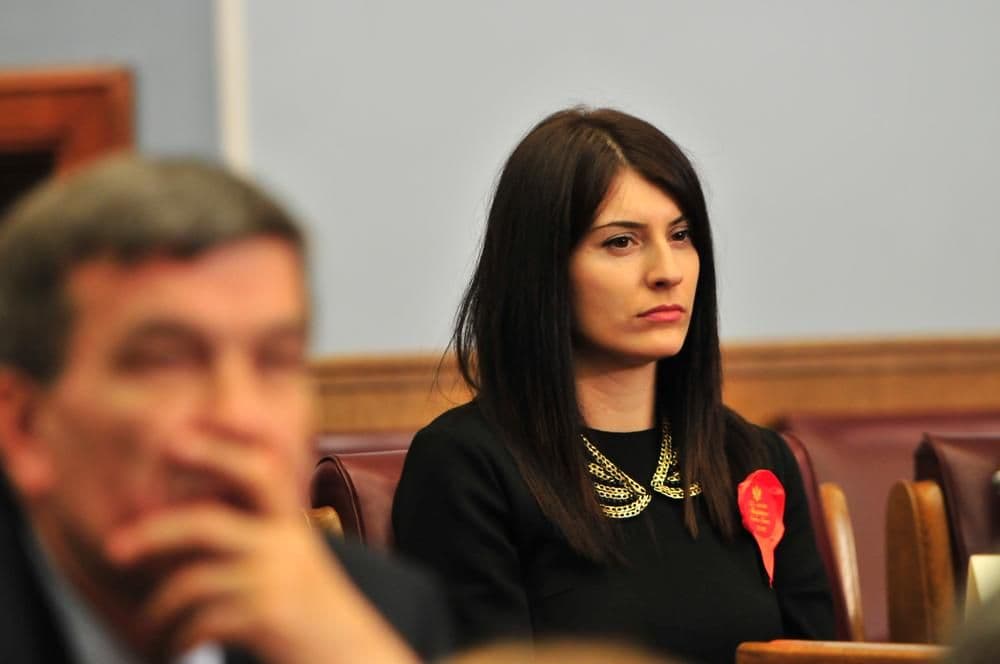 PONOŠ: Odluka o predsjedničkim izborima do kraja sljedeće sedmice PONOŠ: Odluka o predsjedničkim izborima do kraja sljedeće sedmice