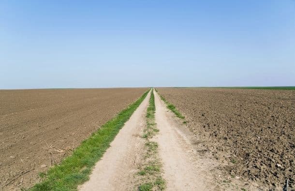 Karađorđevo Emiratima na 30 godina Karađorđevo Emiratima na 30 godina