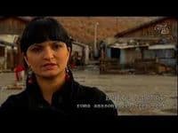 Savjet Roma i Egipćana osuđuje napad na Ramović   Savjet Roma i Egipćana osuđuje napad na Ramović