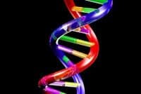 Iz DNK uzoraka moći će se odrediti boja kose i očiju Iz DNK uzoraka moći će se odrediti boja kose i očiju