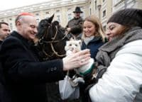 Vatikan blagoslovio životinje Vatikan blagoslovio životinje