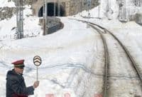 ŽICG: Obrušeno stablo zaustavilo u Kolašinu voz iz Beograda ŽICG: Obrušeno stablo zaustavilo u Kolašinu voz iz Beograda