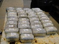 Zaplijenjeno preko 19 kilograma skanka na Debelom brijegu Zaplijenjeno preko 19 kilograma skanka na Debelom brijegu