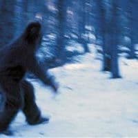 Rusi otvaraju odmaralište posvećeno Jetiju Rusi otvaraju odmaralište posvećeno Jetiju