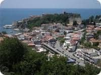 Pas bez nadzora vlasnika povrijedio Ulcinjanku Pas bez nadzora vlasnika povrijedio Ulcinjanku