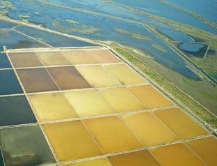 Propao cetvrti pokušaj prodaje ulcinjske Solane Propao cetvrti pokušaj prodaje ulcinjske Solane