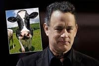 Tom Henks: U prošlom životu sam bio krava Tom Henks: U prošlom životu sam bio krava