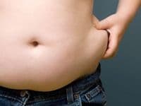 Za 20 godina pola odrasle svjetske populacije biće gojazno Za 20 godina pola odrasle svjetske populacije biće gojazno