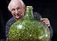 Biljka zatvorena u boci 40 godina i dalje cvijeta Biljka zatvorena u boci 40 godina i dalje cvijeta