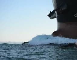 Jemenske vlasti zadržale brod koji je izvozio oružje iz Srbije za Irak Jemenske vlasti zadržale brod koji je izvozio oružje iz Srbije za Irak