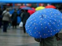 Sjutra moguća kiša Sjutra moguća kiša