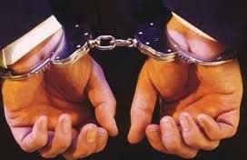 Nova hapšenja u aferi "Azotara" Nova hapšenja u aferi "Azotara"