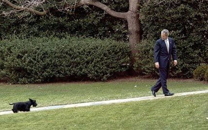 Bušovi dobili više od 30.000 poruka saučešća za psa Bušovi dobili više od 30.000 poruka saučešća za psa