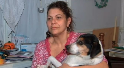 Pas, nestao nakon uragana Sendi, našao put do kuće Pas, nestao nakon uragana Sendi, našao put do kuće