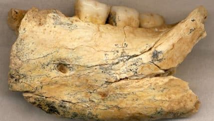 Istraživanja pokazala: Balkan ključan za evoluciju evropskog čovjeka Istraživanja pokazala: Balkan ključan za evoluciju evropskog čovjeka