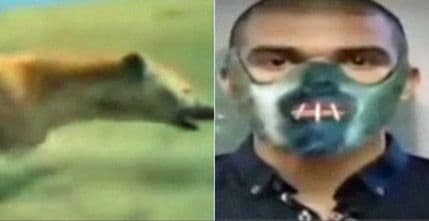 "Igrači Reala su krvoločne hijene" "Igrači Reala su krvoločne hijene"