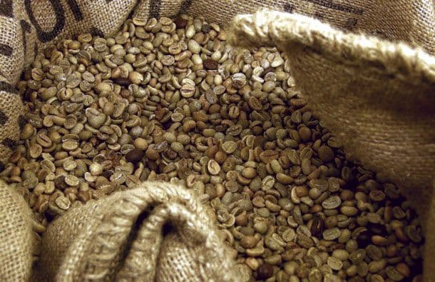 Za 10 godina kafa će poskupjeti da će postati luksuz Za 10 godina kafa će poskupjeti da će postati luksuz