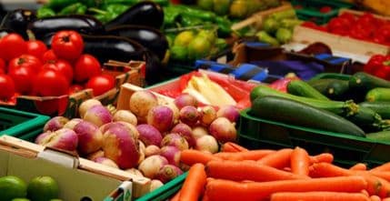 Barjaktarović: Poljoprivreda ne može da čeka Barjaktarović: Poljoprivreda ne može da čeka