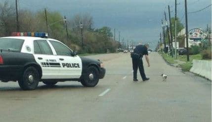 Policajac zatvorio autoput da bi pomogao psu Policajac zatvorio autoput da bi pomogao psu