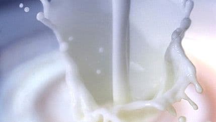 BiH blokirala uvoz mlijeka iz Srbije, Slovenije, Mađarske i Njemačke BiH blokirala uvoz mlijeka iz Srbije, Slovenije, Mađarske i Njemačke