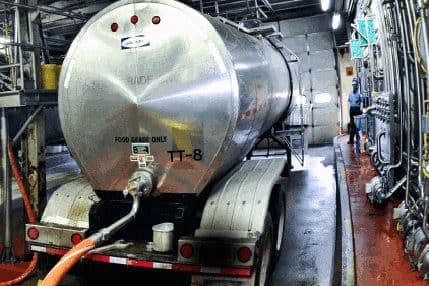 Čak 24 od 35 uzoraka mlijeka sa povećanom koncentracijom aflatoksina Čak 24 od 35 uzoraka mlijeka sa povećanom koncentracijom aflatoksina