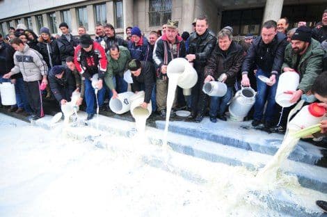 SRBIJA: Poljoprivrednici prosipali mlijeko ispred Vlade Vojvodine SRBIJA: Poljoprivrednici prosipali mlijeko ispred Vlade Vojvodine