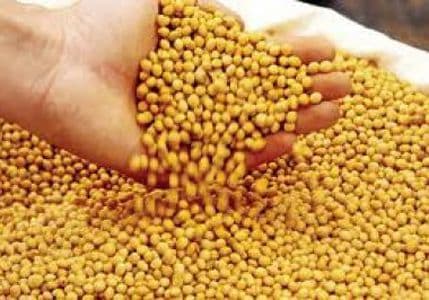 Poljoprivrednici zabrinuti, ne znaju koji koncentrat da koriste Poljoprivrednici zabrinuti, ne znaju koji koncentrat da koriste