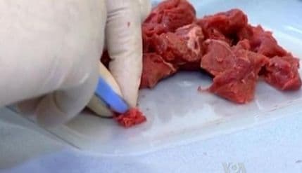 Na pomolu novi skandal zbog hrane? Na pomolu novi skandal zbog hrane?