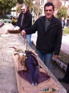 Hrvatski ribar ulovio džinovsku lignju tešku 7,5 kg Hrvatski ribar ulovio džinovsku lignju tešku 7,5 kg