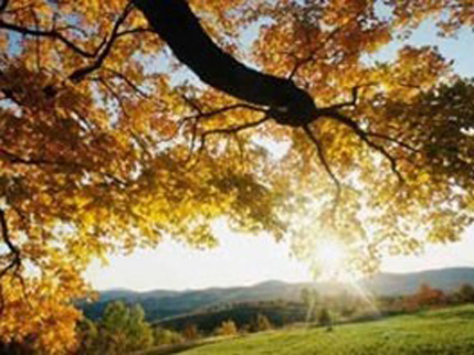 Lijepo vrijeme čini ljude boljim Lijepo vrijeme čini ljude boljim