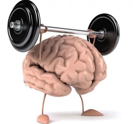 Ženski mozak manji, ali efikasniji od muškog Ženski mozak manji, ali efikasniji od muškog