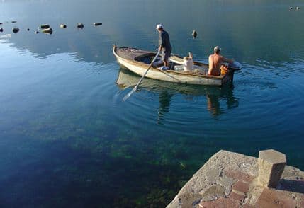 Joksimović: Istraživanje malog ribolova novi projekat Instituta Joksimović: Istraživanje malog ribolova novi projekat Instituta