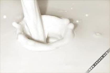 Srbija: Od 48 uzoraka mlijeka, 33 sa aflatoksinom iznad 0,05 Srbija: Od 48 uzoraka mlijeka, 33 sa aflatoksinom iznad 0,05