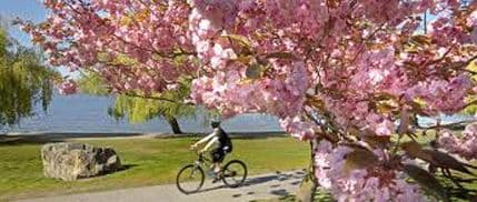 Pripremite tijelo za proljeće Pripremite tijelo za proljeće