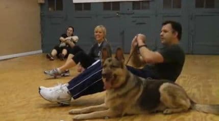 Teretana za pse i vlasnike u Čikagu Teretana za pse i vlasnike u Čikagu