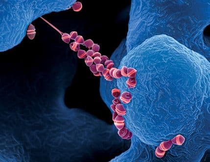 Organizmi koji žive pod Zemljom rješavaju tajnu nastanka života Organizmi koji žive pod Zemljom rješavaju tajnu nastanka života