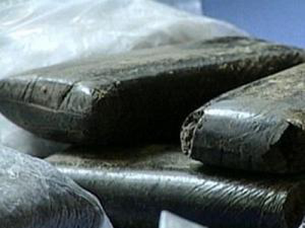 Makedonija: Zaplijenjeno 40 kilograma marihuane Makedonija: Zaplijenjeno 40 kilograma marihuane