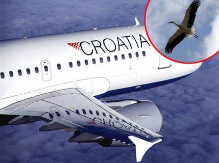 Roda zamalo uništila avion s hrvatskim ministrom Baukom Roda zamalo uništila avion s hrvatskim ministrom Baukom