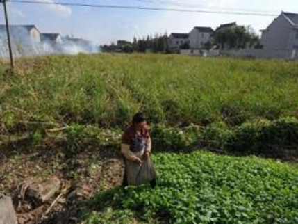 Kineske vlasti zaradile 3700 milijardi eura od prodaje zemljišta Kineske vlasti zaradile 3700 milijardi eura od prodaje zemljišta