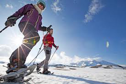 U Crnoj Gori boravi 4,4 hiljade turista U Crnoj Gori boravi 4,4 hiljade turista