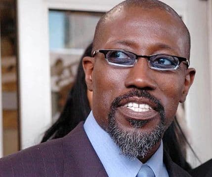 Vesli Snajps pušten iz zatvora Vesli Snajps pušten iz zatvora