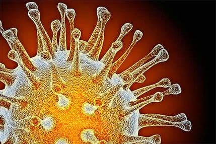 Novi ptičji grip već mutirao Novi ptičji grip već mutirao