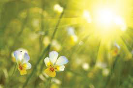 Sjutro sunčano, do 23 stepena Sjutro sunčano, do 23 stepena